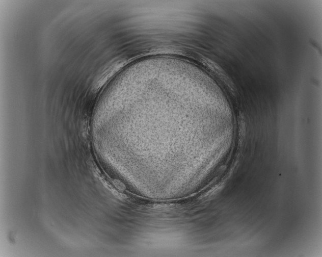 X0000100400985200806271416