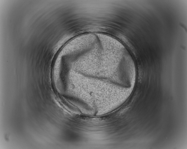 X0000100400986200806271416