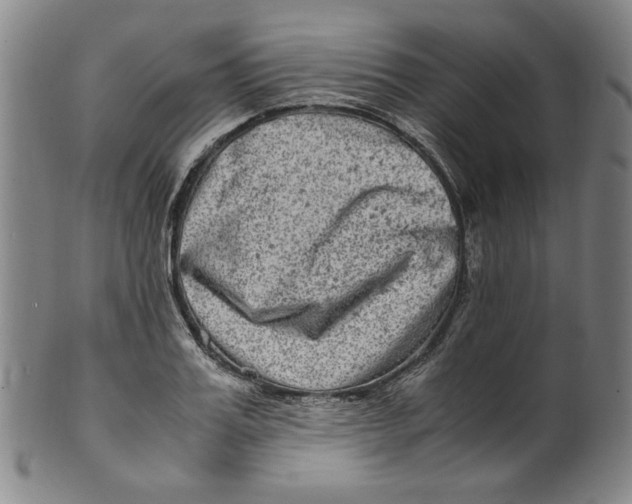 X0000100400987200806271416