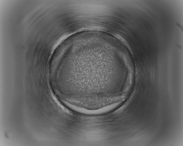 X0000100400989200806271416