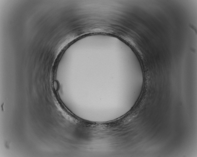 X0000100400991200806271416