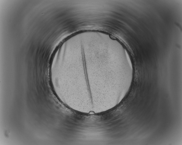 X0000100400992200806271416
