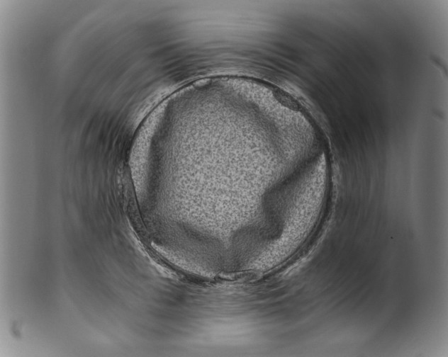 X0000100400993200806271416