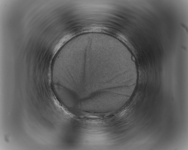 X0000100400994200806271416