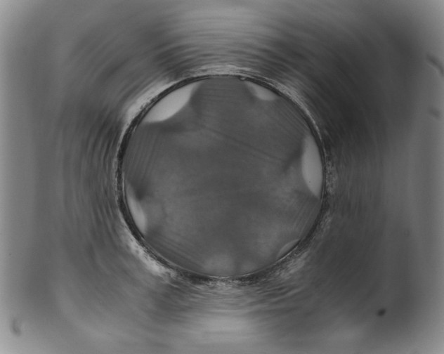 X0000100400995200806271416