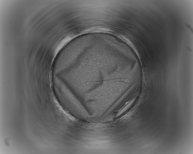 X0000100400997200806271416