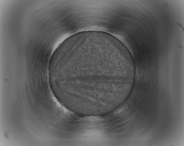 X0000100400998200806271416