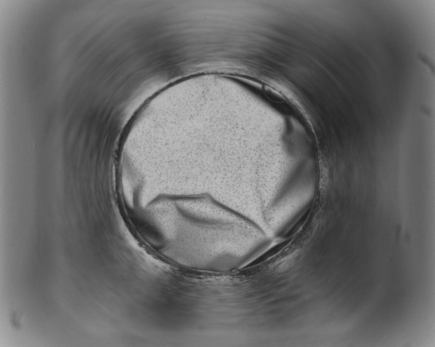 X0000100400999200806271416