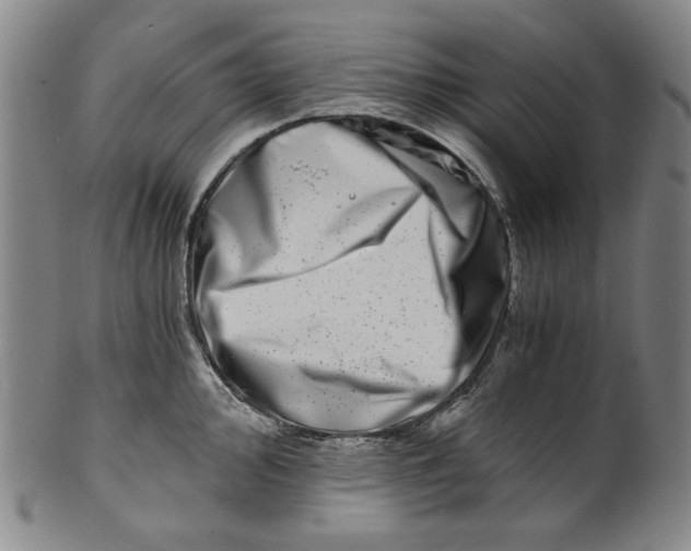 X0000100401000200806271416