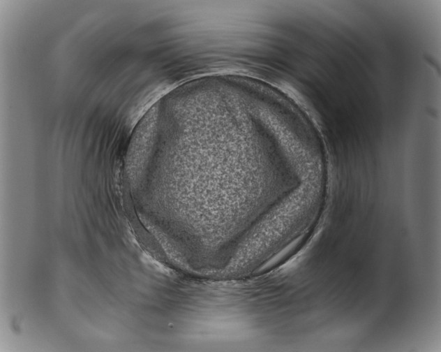 X0000100401001200806271416