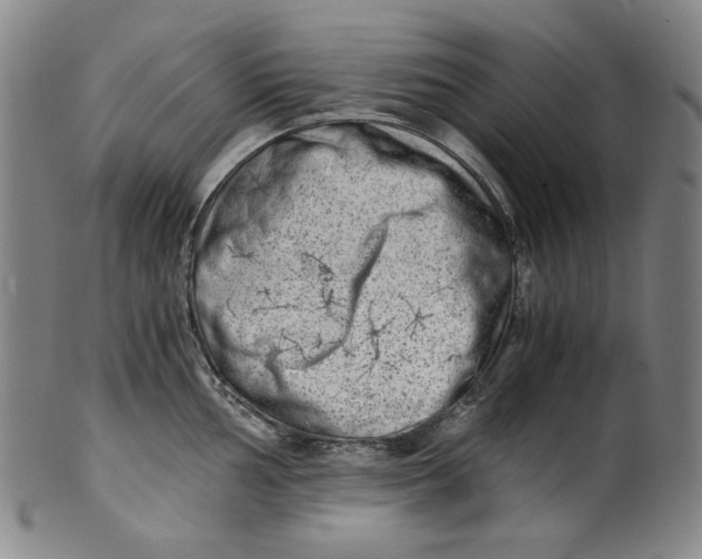 X0000100401002200806271416