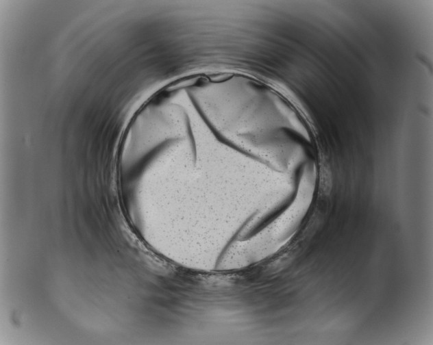 X0000100401004200806271416