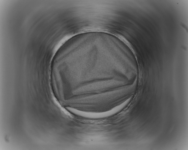 X0000100401005200806271416