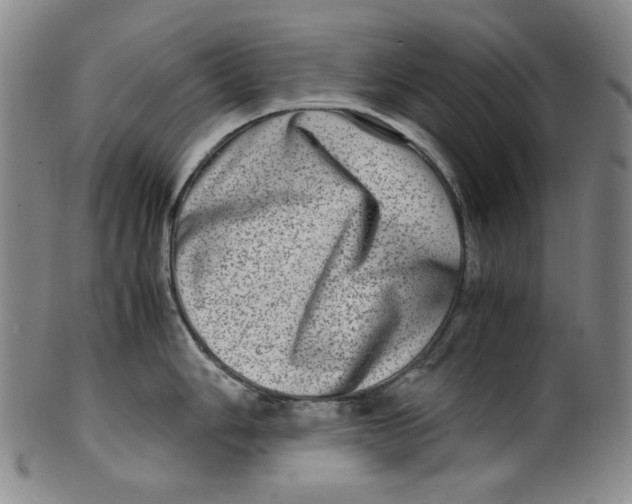 X0000100401006200806271416