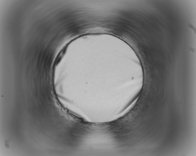 X0000100401008200806271416