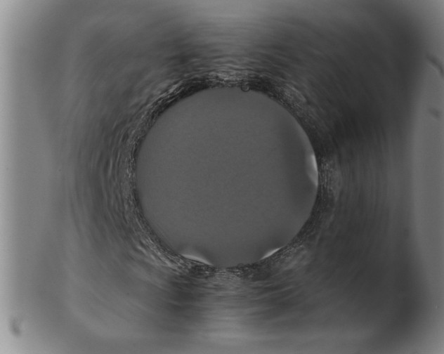 X0000100401009200806271415