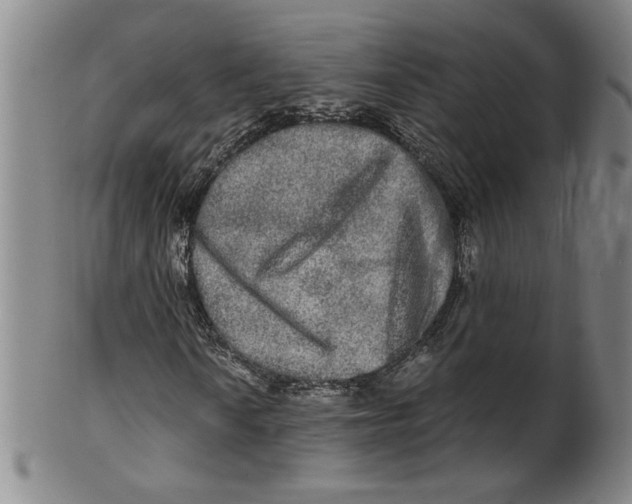 X0000100401010200806271415
