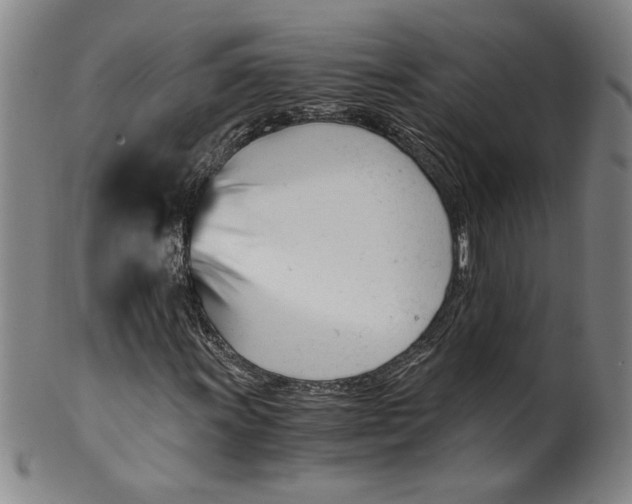 X0000100401011200806271415