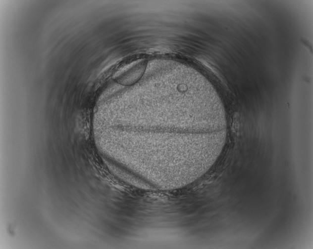 X0000100401015200806271415