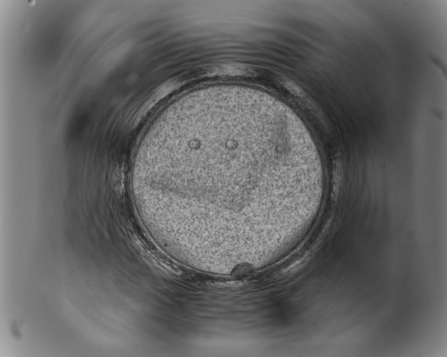 X0000100401017200806271415