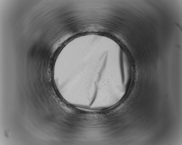 X0000100401018200806271415