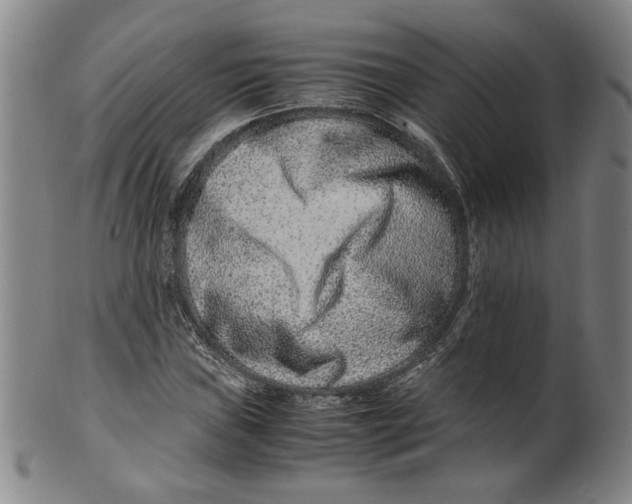 X0000100401019200806271415
