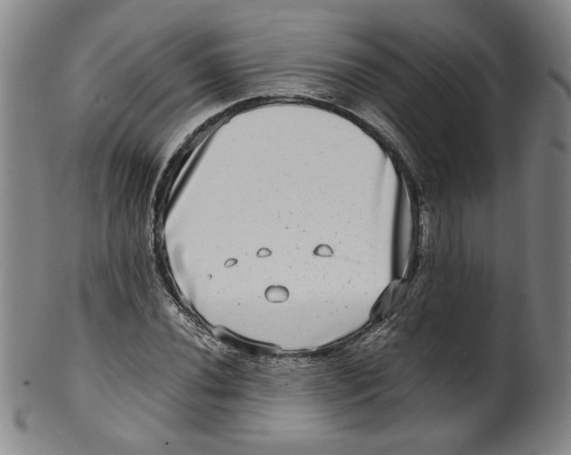 X0000100401020200806271415