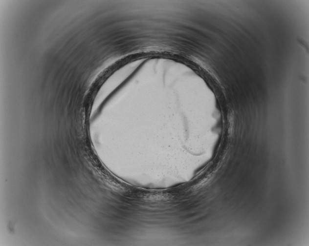 X0000100401021200806271415