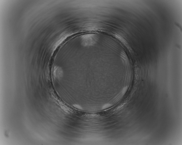 X0000100401023200806271415