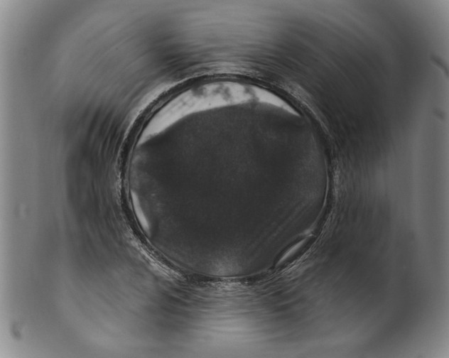 X0000100401024200806271415