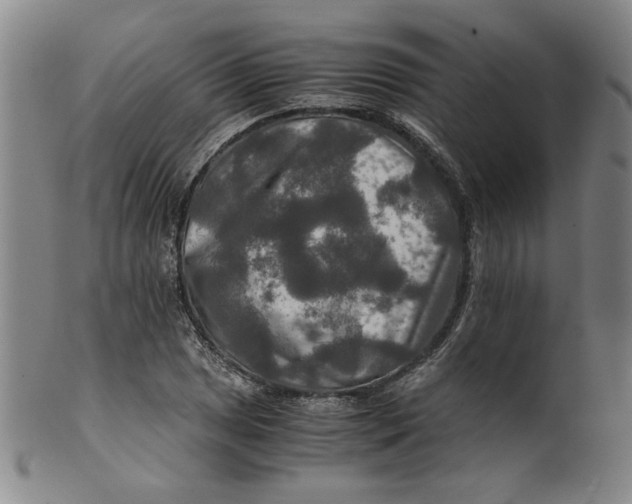 X0000100401025200806271415