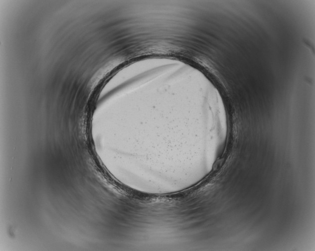 X0000100401026200806271415