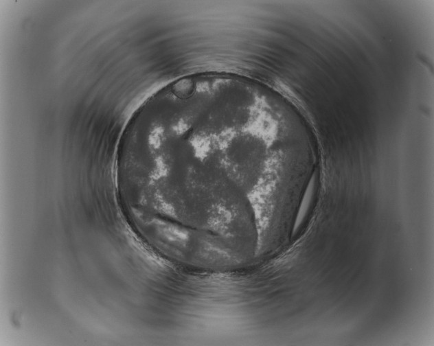 X0000100401028200806271415