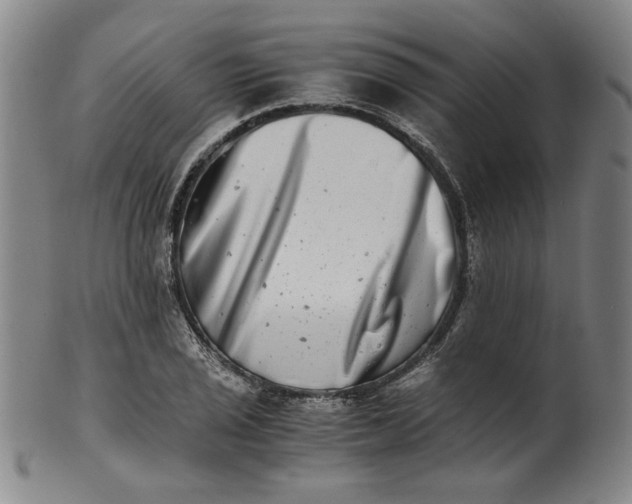 X0000100401029200806271415