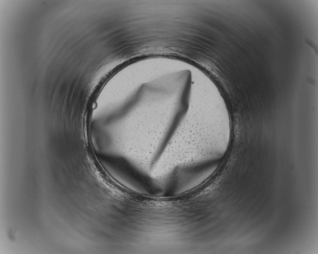 X0000100401030200806271415
