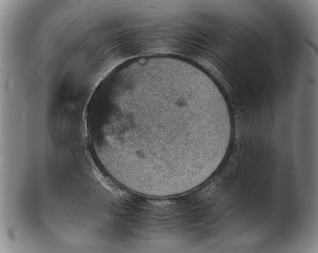 X0000100401031200806271415