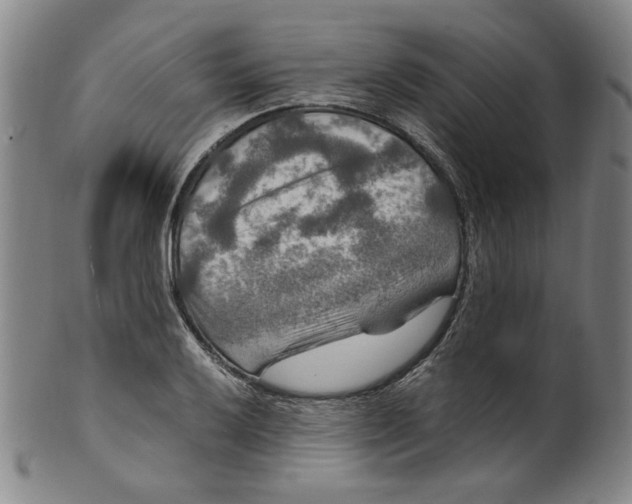 X0000100401032200806271415