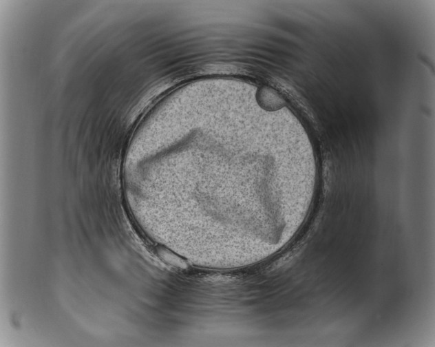 X0000100401033200806271416