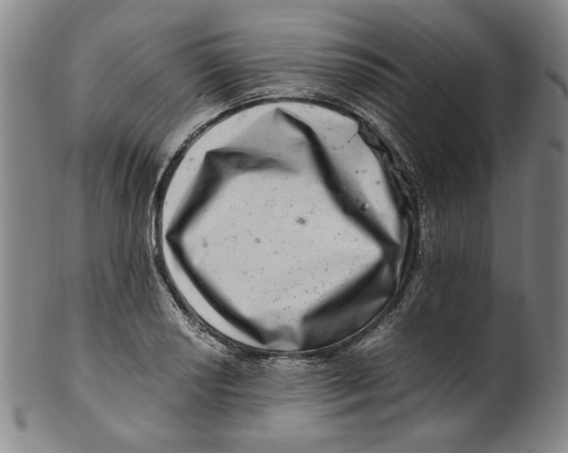X0000100401034200806271416