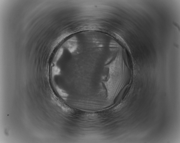 X0000100401035200806271416