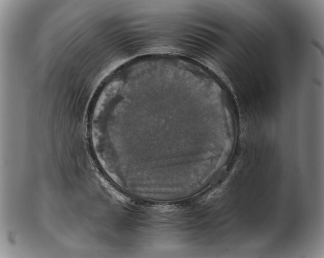 X0000100401037200806271416