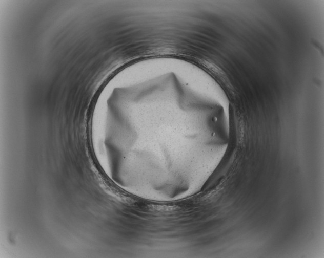 X0000100401039200806271416