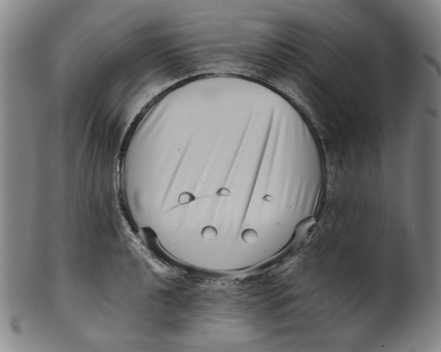 X0000100401040200806271416