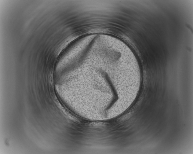 X0000100401041200806271416