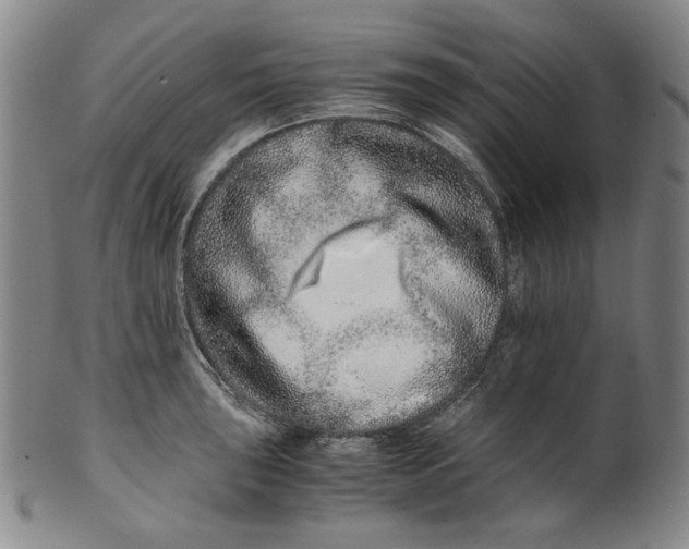 X0000100401043200806271416