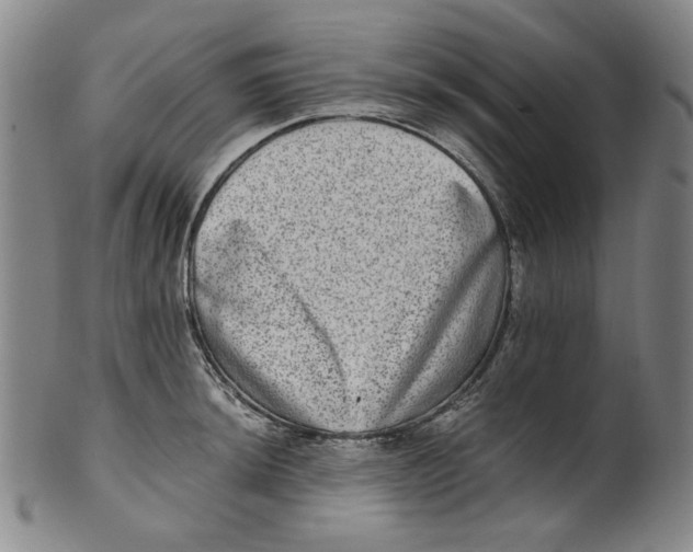 X0000100401044200806271416