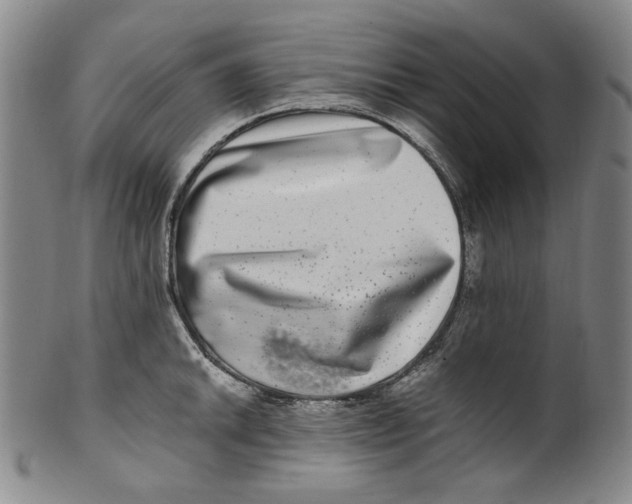 X0000100401046200806271416