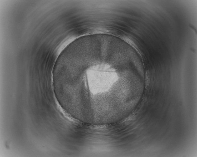 X0000100401047200806271416