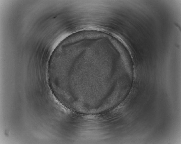 X0000100401048200806271416