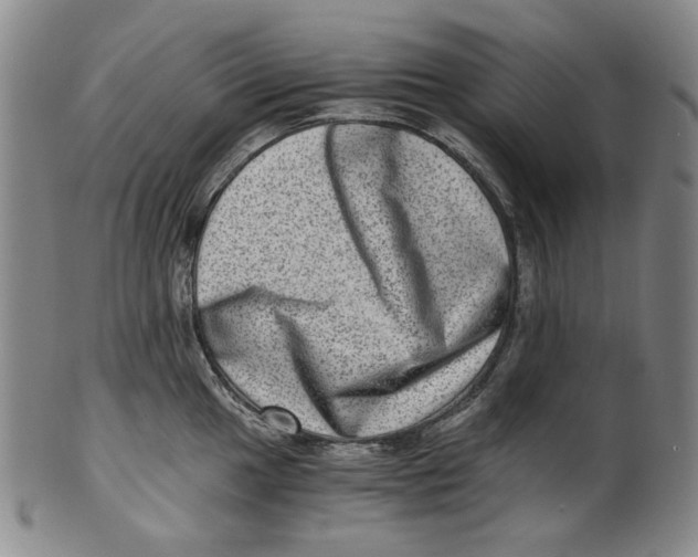 X0000100401049200806271416
